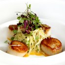 scallops_etc